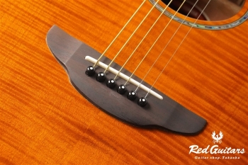 APX-600FM - Amber